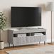 Maison Exclusive meuble TV LED HAARLEM 100 x 35 x 43 cm Sonoma Gris