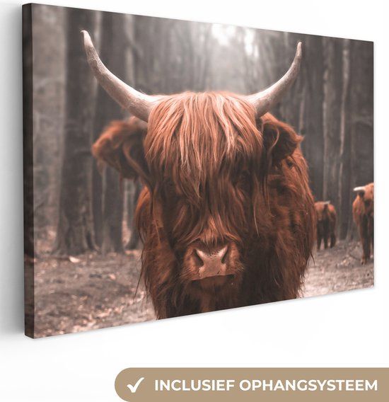OneMillionCanvasses Canvas schilderij 150x100 cm Schotse hooglander - Bos - Rechthoekig - Modern