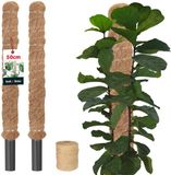 KOTARBAU® 2 st Kokosstok, Plantenstok, ⌀ 3,2 x 50 cm, Kokosstaaf, Klimhulp Monstera, Bruin, Kokosvezel, Klimhulp, Plantenstaaf, Kokosstok voor Monstera, Kokosstaaf voor Klimplanten