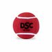 DSC Nitro Heavy Tennis Cricket Ball (Red, Pack of 12)