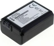 OTB NP-FW50 Accu