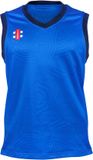 Gray-Nicolls Cricket SLIPOVER PRO T20 RYL Unisex Polyester Mouwloos Gestreept Royal
