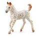 Collecta Knabstrupper Veulen Luipaard Speelfiguur 9.7x8.5cm