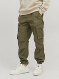 JACK & JONES Kane Noah Cuffed Cargo loose fit heren cargo broek groen