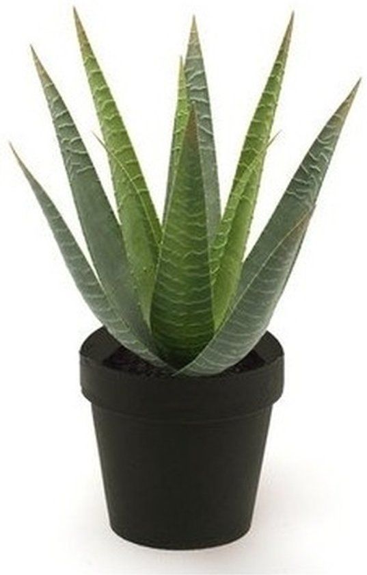 Bellatio Flowers & Plants Kunstplant aloe vera groen in pot 23 cm