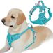 BARKBAY Anti-trek hondenharnas voorclip zwaar belastbare reflecterende eenvoudige bediening handvat voor grote honden wandelen met ID-tag zak (blauw, L)