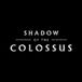 Sony Interactive Entertainment Sony Shadow of the Colossus - PlayStation 4
