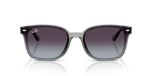 Ray-Ban RB 4461D 64508G