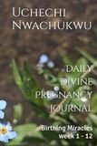 Daily Divine Pregnancy Journal: Birthing Miracles week 1 - 12