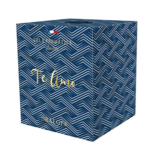 DRAEGER PARIS 1886 Draeger Paris Geurkaars Amber Te Amo - 8412789364631