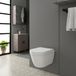 WC-bril in kunststof met softclose-systeem en snelsluiting - antibacterieel - Blanc.