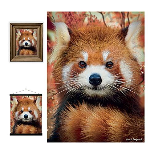 3D LiveLife Lenticulaire Kunstafdruk aan de muur - Baby Rode Panda - Deluxebase