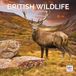 Dayplanner British Wildlife Kalender 2027