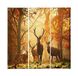 Homemania Wandfoto, 3 stuks, dieren, woonkamer, slaapkamer, meerkleurig, 69 x 3 x 50 cm, HM203PKNV-193, polyester, hout