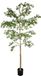 Uni Plant Peva Shady Lady 280 cm Kunstboom
