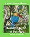 Beautiful Wildlife Discovery Reader: Beautiful Birds of Borneo