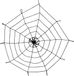 Boland Spinnenweb met spin - Horror