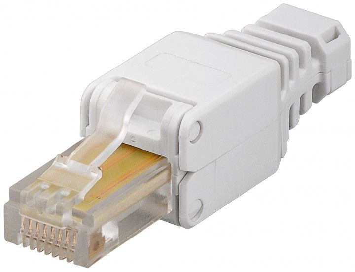 Wentronic CAT 5/6 RJ45 - Beige - 68859