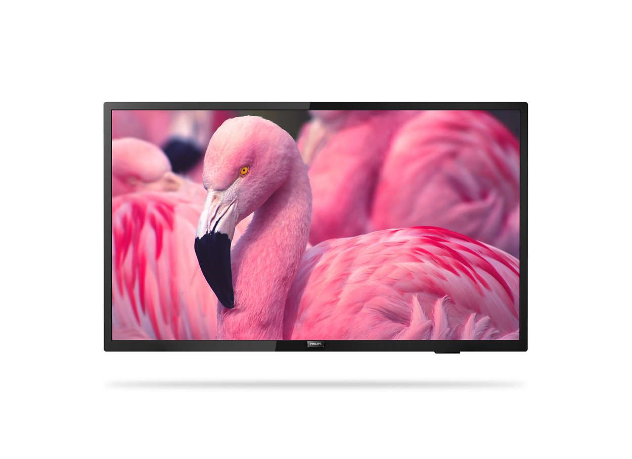 Philips 43HFL4014 / LED / 43 inch / 2022