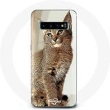 Maniacase Hoesje voor Samsung Galaxy S10 Plus Siamese kattenrace