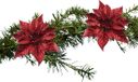 Cosy & Trendy Kerstboomversiering - Rode Kerstster - 2 Stuks