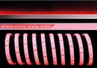 Dekolight LED Stripe 5050-60-24V -RGB-5m-IP67 - FLEX systeem