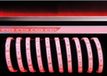 Dekolight LED Stripe 5050-60-24V -RGB-5m-IP67 - FLEX systeem
