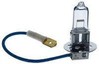 Hella 8GH 002 090-131 Gloeilamp