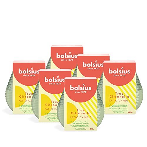 Bolsius - Citronella - Terraskaars - Buiten - Geurend - Groen - 40 Branduren - Pack 6