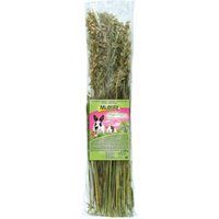 MultiFit Haverpluis 120 g