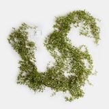 LOBERON Ledguirlande Kalitha groen