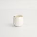 Tokyo Design Studio Nippon White Gold Melkkan Star Wit/Goud 100 ml