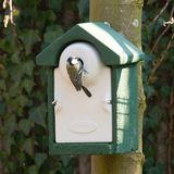 CJ Wildlife Nestkast - Sevilla - Groen