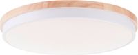 Brilliant Baarlo LED-plafondlamp