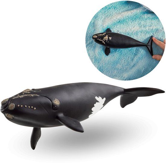 Schleich WILD LIFE Noordkaper - 14878