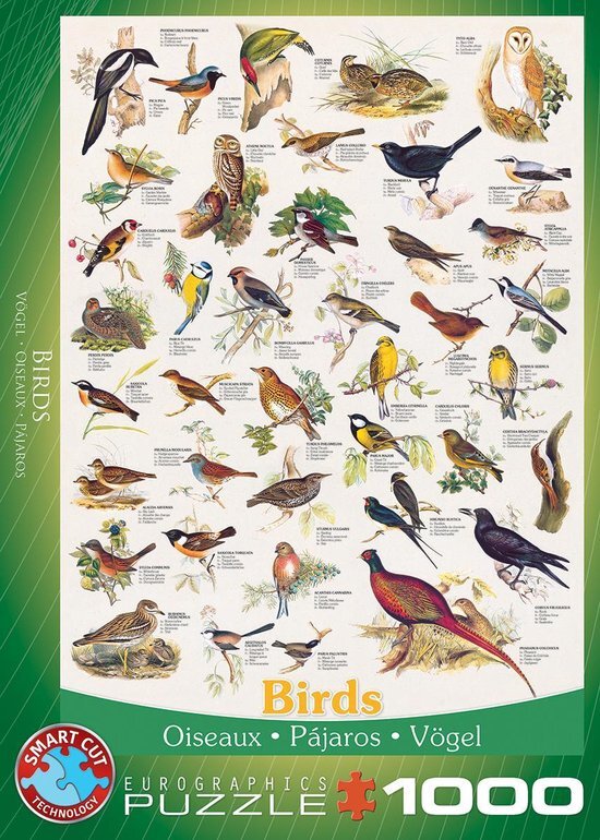 Eurographics Birds Puzzel (1000 stukjes)