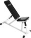 Gorilla Sports Physionics Verstelbare Halterbank - Buiktrainer - Fitnessbank - Antislip - Staal - Trainingsapparaat