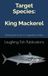 Target King Mackerel: Mastering the Pursuit of a Legendary Predator