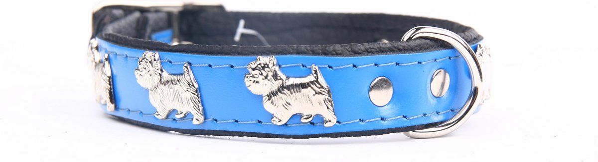 Dog's Companion Leren Halsband - Westie - 28-34 cm - Blauw/Zwart