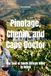 Pinotage, Chenin, and Cape Doctor: The Soul of South African Wine in Detail