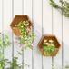 Maison Exclusive - 2 jardinières murales en acier Corten patiné, dimensions : 30 x 10 x 25 cm
