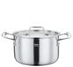 Spring Gourmet Kookpan met deksel, diameter 18 cm, 2,7 l, roestvrij staal, inductie