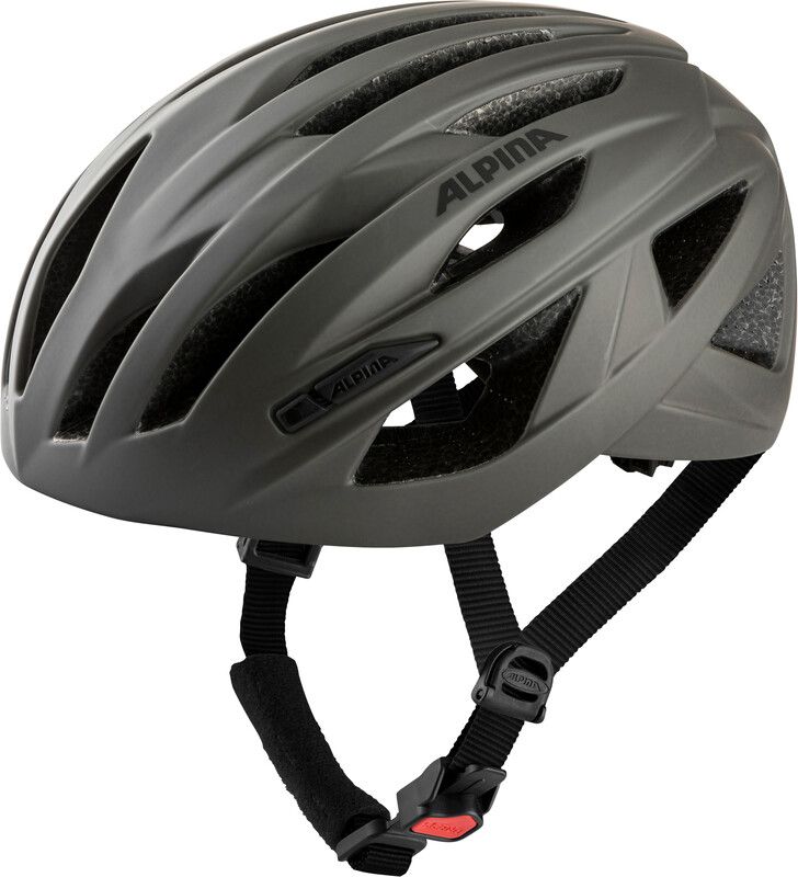 Alpina Path Helmet