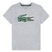Lacoste T-shirt grijs Jongens Katoen Ronde hals Logo - maat 176