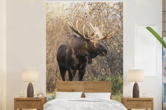 Nr1Wallpaper Behang - Fotobehang Eland met gras in mond - Breedte 160 cm x hoogte 240 cm