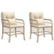 VidaXL Tuinstoelen 2 st met kussens poly rattan crème, wit