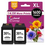 OEM HP Kleurpatronen 301 XL (2 stuks, zwart) voor HP-printers