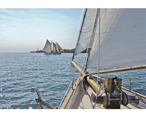 KOMAR Behang National Geographic Sailing fotobehang