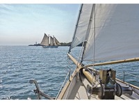 KOMAR Behang National Geographic Sailing fotobehang