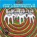 Jonny Greenwood Is the Controller